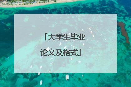大学生毕业论文及格式