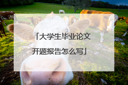 大学生毕业论文开题报告怎么写