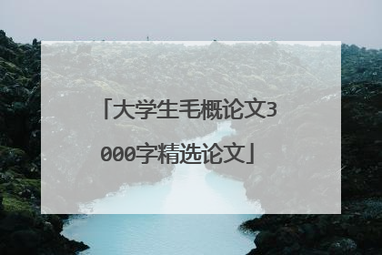 大学生毛概论文3000字精选论文