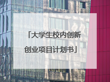 大学生校内创新创业项目计划书