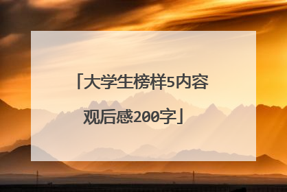 大学生榜样5内容观后感200字