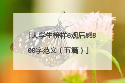 大学生榜样6观后感800字范文(五篇)