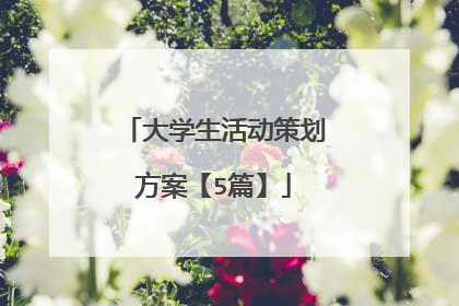 大学生活动策划方案【5篇】
