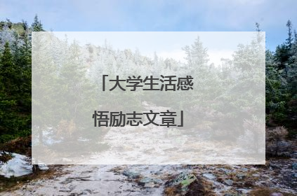 大学生活感悟励志文章