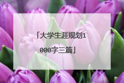 大学生涯规划1000字三篇