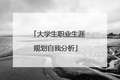 大学生职业生涯规划自我分析