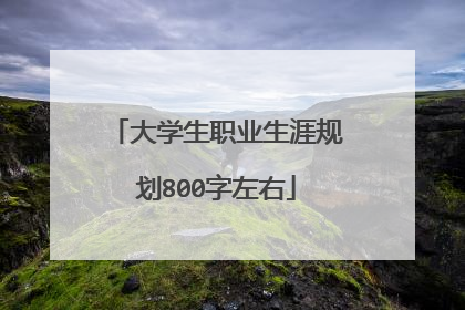 大学生职业生涯规划800字左右