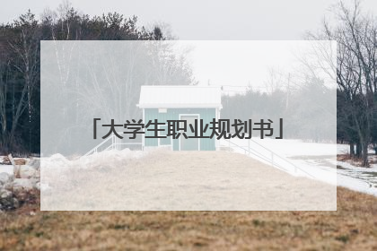 大学生职业规划书
