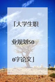 大学生职业规划500字论文