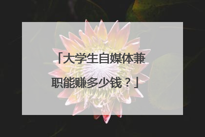 大学生自媒体兼职能赚多少钱？