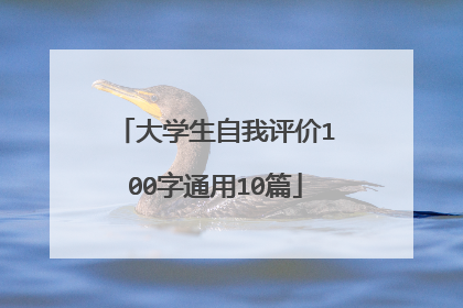 大学生自我评价100字通用10篇