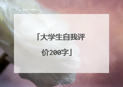 大学生自我评价200字
