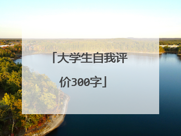 大学生自我评价300字