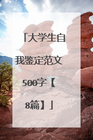 大学生自我鉴定范文500字【8篇】