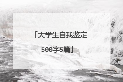 大学生自我鉴定500字5篇