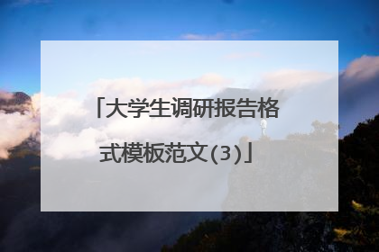 大学生调研报告格式模板范文(3)