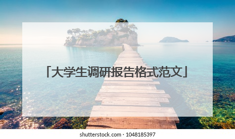 大学生调研报告格式范文