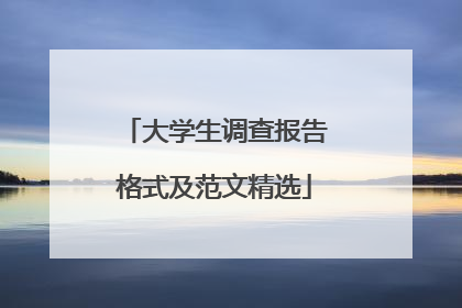 大学生调查报告格式及范文精选