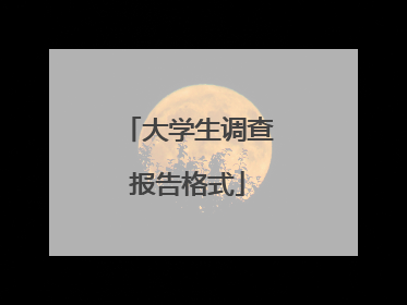 大学生调查报告格式