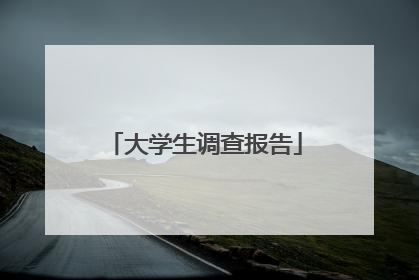 大学生调查报告