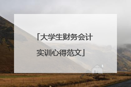 大学生财务会计实训心得范文