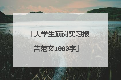 大学生顶岗实习报告范文1000字