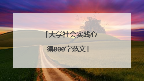 大学社会实践心得800字范文