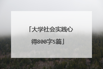 大学社会实践心得800字5篇