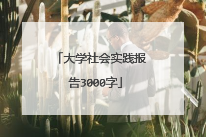大学社会实践报告3000字