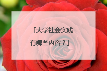 大学社会实践有哪些内容？