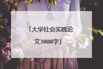 大学社会实践论文3000字