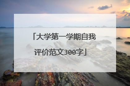 大学第一学期自我评价范文300字