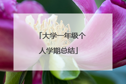 大学一年级个人学期总结