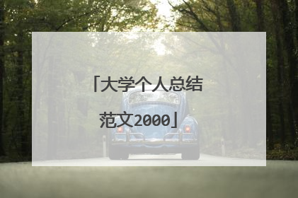 大学个人总结范文2000