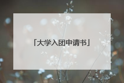 大学入团申请书