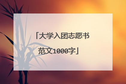 大学入团志愿书范文1000字