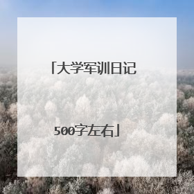 大学军训日记500字左右