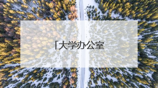 大学办公室工作总结