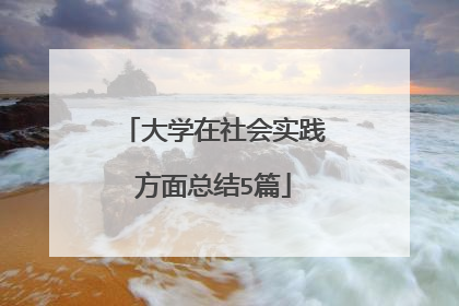 大学在社会实践方面总结5篇