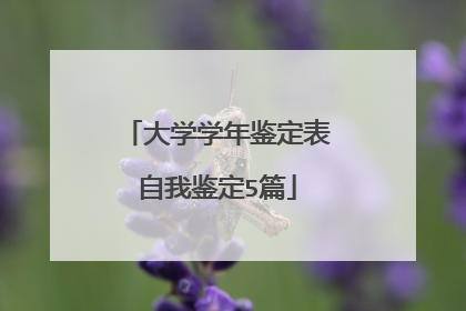 大学学年鉴定表自我鉴定5篇
