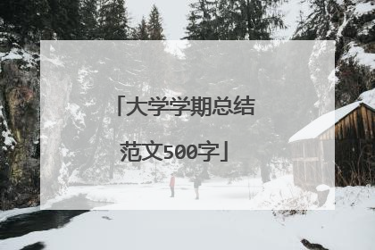 大学学期总结范文500字