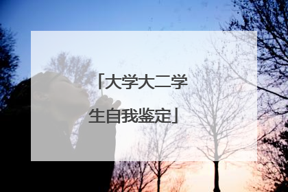 大学大二学生自我鉴定