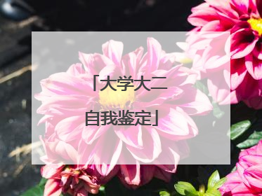 大学大二自我鉴定