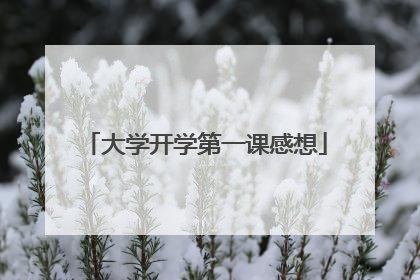 大学开学第一课感想
