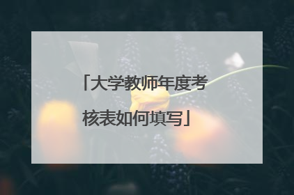 大学教师年度考核表如何填写