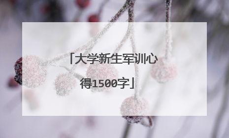 大学新生军训心得1500字