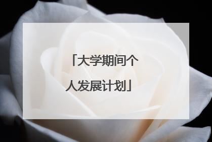 大学期间个人发展计划