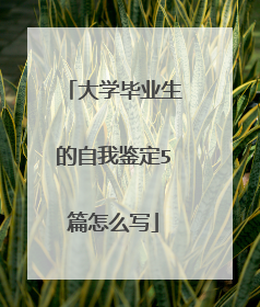 大学毕业生的自我鉴定5篇怎么写