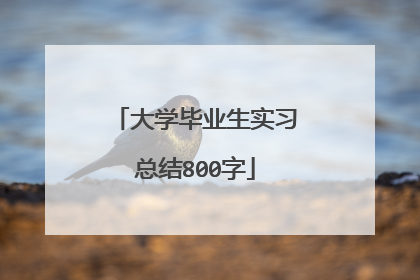 大学毕业生实习总结800字