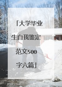 大学毕业生自我鉴定范文500字六篇